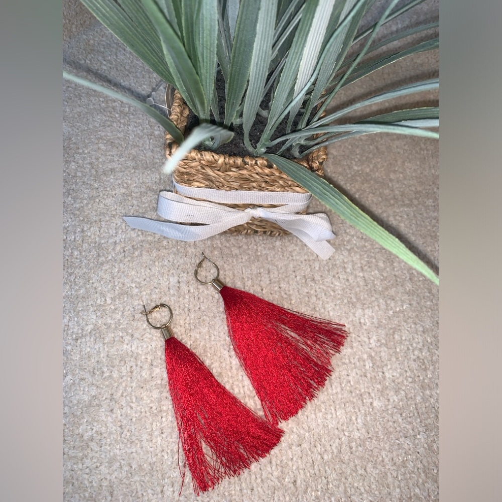 Red tassel statement earrings